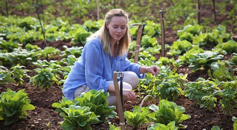  「Organic Farming for a Sustainable Future」：穿越時空的農業智慧與現代綠色耕作的完美融合